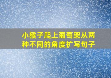 小猴子爬上葡萄架从两种不同的角度扩写句子