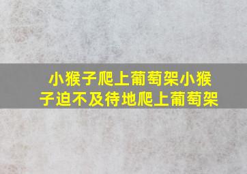 小猴子爬上葡萄架小猴子迫不及待地爬上葡萄架