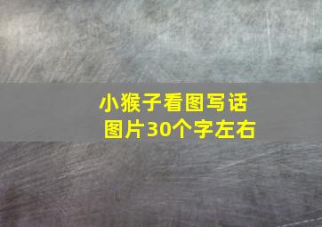 小猴子看图写话图片30个字左右