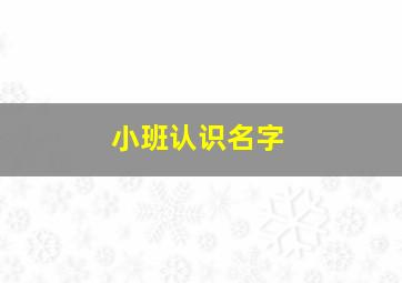 小班认识名字