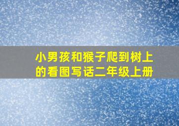 小男孩和猴子爬到树上的看图写话二年级上册