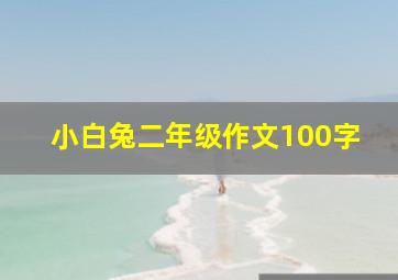 小白兔二年级作文100字