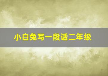 小白兔写一段话二年级