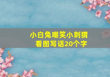 小白兔嘲笑小刺猬看图写话20个字