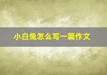 小白兔怎么写一篇作文