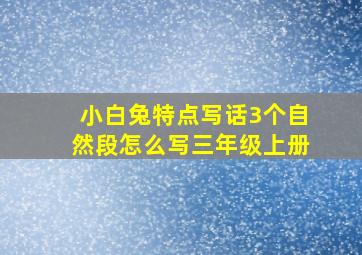 小白兔特点写话3个自然段怎么写三年级上册