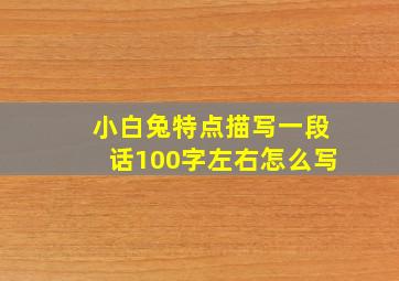 小白兔特点描写一段话100字左右怎么写