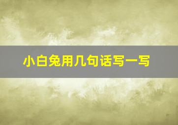 小白兔用几句话写一写