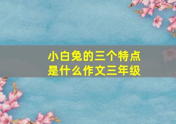 小白兔的三个特点是什么作文三年级