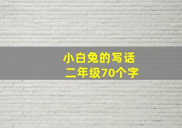 小白兔的写话二年级70个字