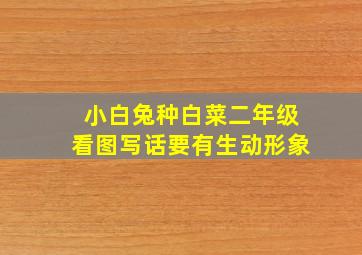 小白兔种白菜二年级看图写话要有生动形象