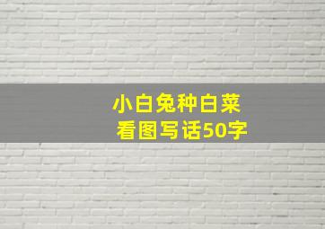 小白兔种白菜看图写话50字