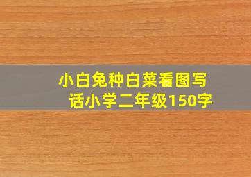 小白兔种白菜看图写话小学二年级150字