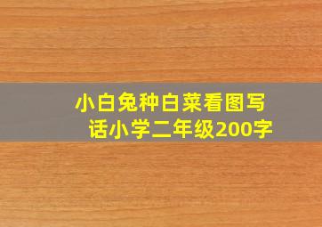 小白兔种白菜看图写话小学二年级200字