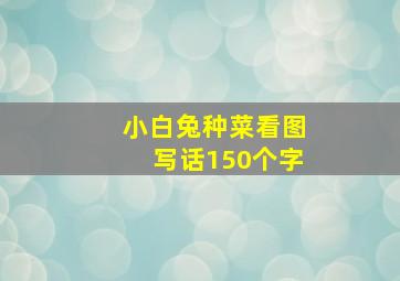 小白兔种菜看图写话150个字