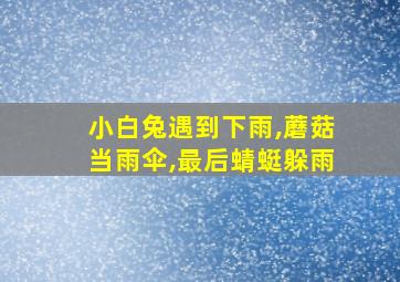 小白兔遇到下雨,蘑菇当雨伞,最后蜻蜓躲雨