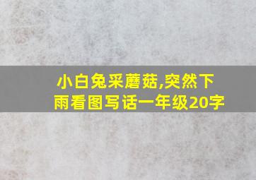 小白兔采蘑菇,突然下雨看图写话一年级20字