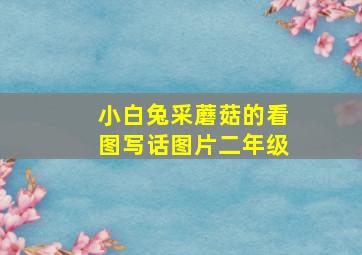 小白兔采蘑菇的看图写话图片二年级