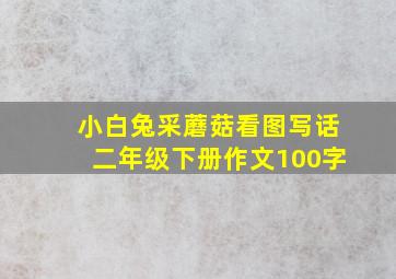 小白兔采蘑菇看图写话二年级下册作文100字