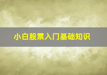 小白股票入门基础知识