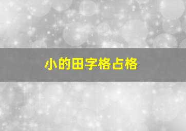 小的田字格占格