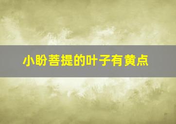 小盼菩提的叶子有黄点