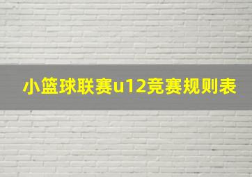 小篮球联赛u12竞赛规则表