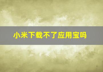 小米下载不了应用宝吗