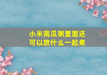 小米南瓜粥里面还可以放什么一起煮