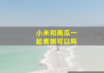 小米和南瓜一起煮粥可以吗