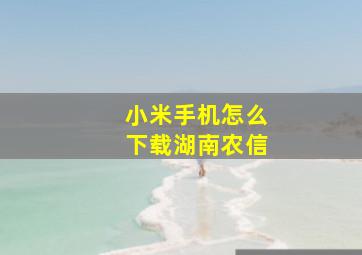 小米手机怎么下载湖南农信