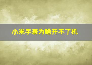 小米手表为啥开不了机