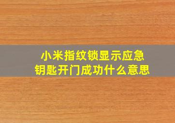 小米指纹锁显示应急钥匙开门成功什么意思