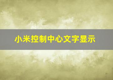 小米控制中心文字显示