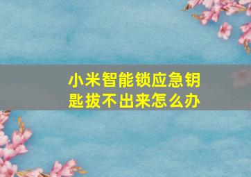 小米智能锁应急钥匙拔不出来怎么办