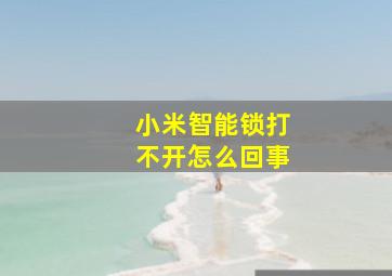 小米智能锁打不开怎么回事