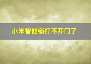 小米智能锁打不开门了