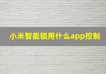 小米智能锁用什么app控制