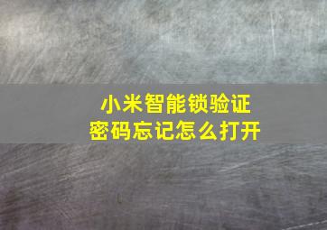 小米智能锁验证密码忘记怎么打开