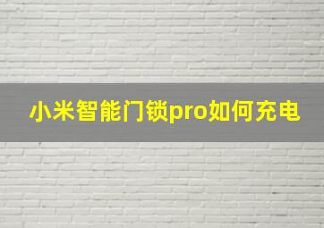 小米智能门锁pro如何充电