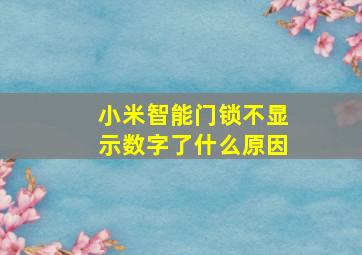 小米智能门锁不显示数字了什么原因