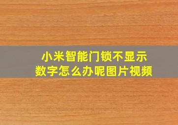 小米智能门锁不显示数字怎么办呢图片视频