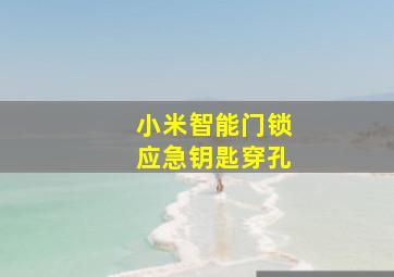 小米智能门锁应急钥匙穿孔