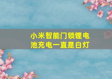 小米智能门锁锂电池充电一直是白灯