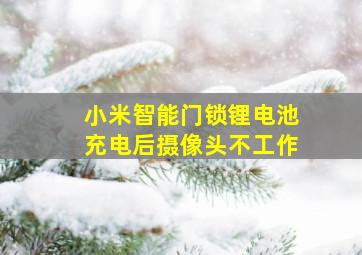 小米智能门锁锂电池充电后摄像头不工作