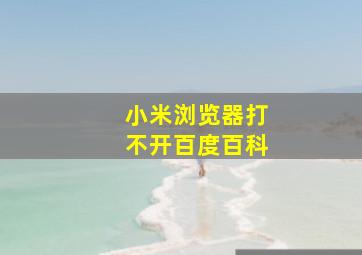 小米浏览器打不开百度百科