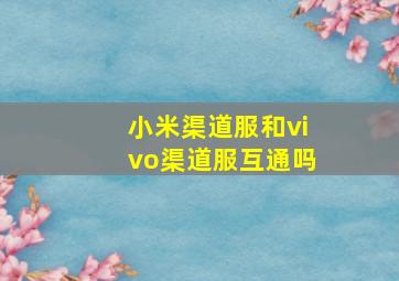 小米渠道服和vivo渠道服互通吗