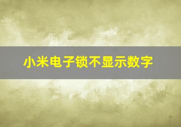 小米电子锁不显示数字