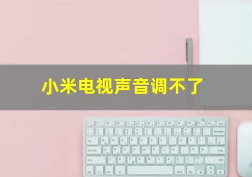 小米电视声音调不了