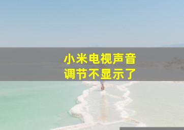 小米电视声音调节不显示了